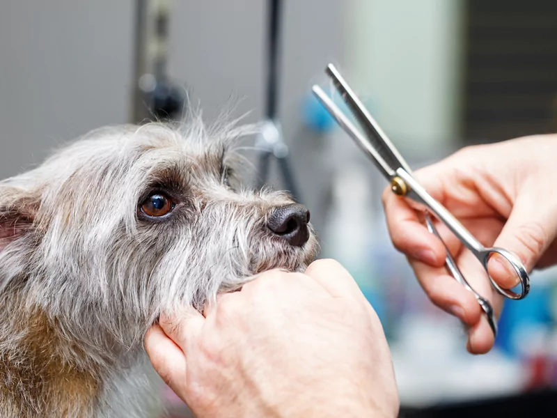 Waarom voor ons kiezen?